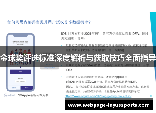 金球奖评选标准深度解析与获取技巧全面指导